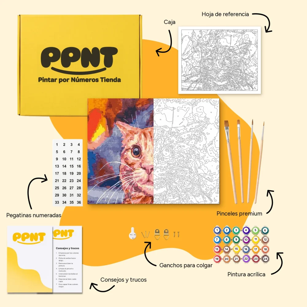 Pintar por Números - Gato divertido