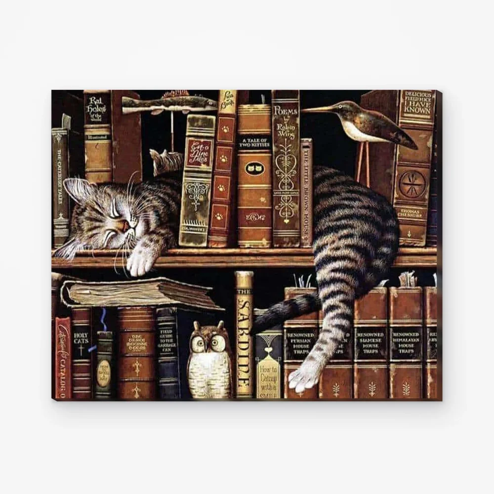 Pintar por Números - Gato dormido en la biblioteca