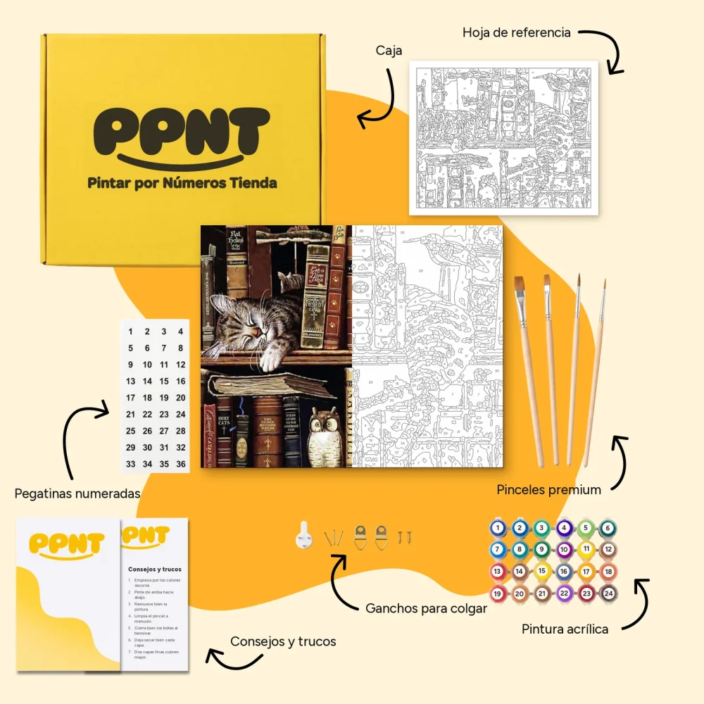 Pintar por Números - Gato dormido en la biblioteca