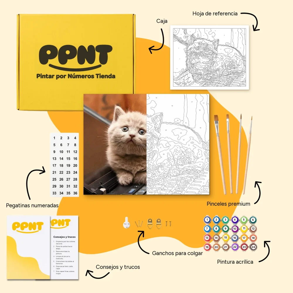 Pintar por Números - Gato en el portátil