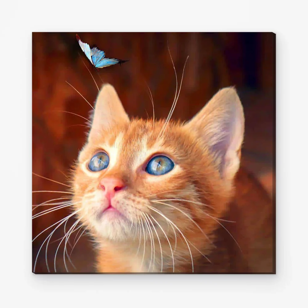 Pintar por Números - Gato marrón con mariposa azul