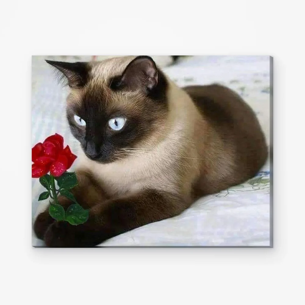 Pintar por Números - Gato marrón con rosa