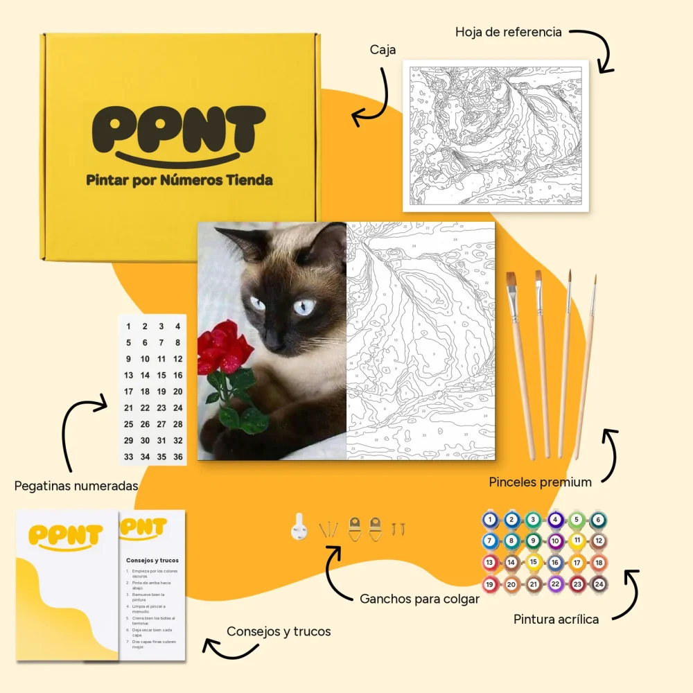 Pintar por Números - Gato marrón con rosa