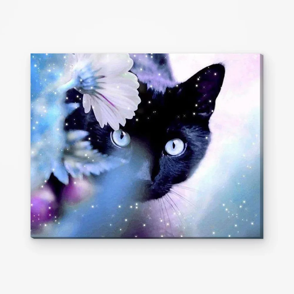 Pintar por Números - Gato negro con rosa