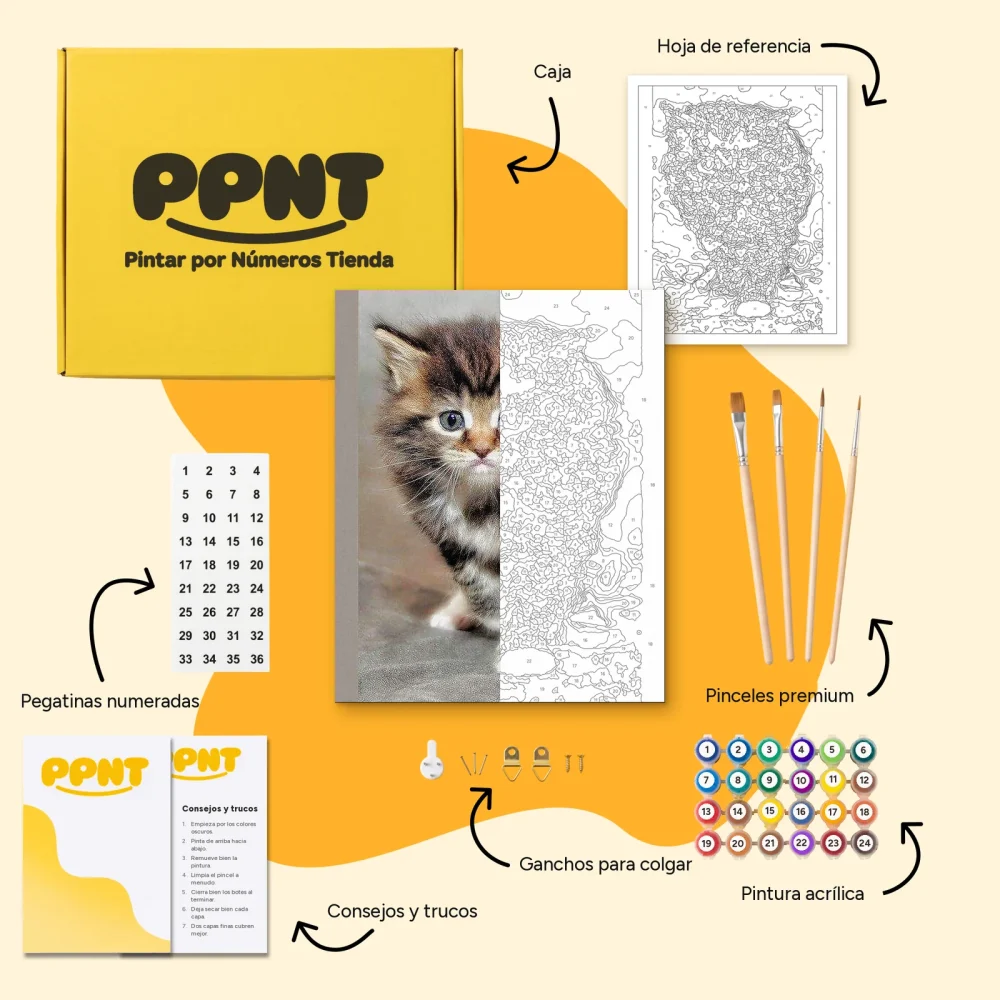 Pintar por Números - Gato tímido