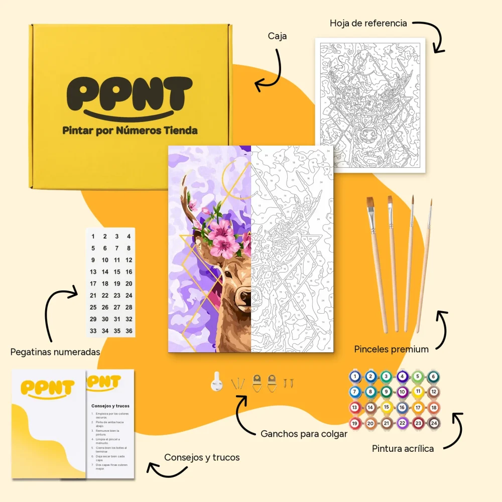 Pintar por Números - Geometría de Hirsch