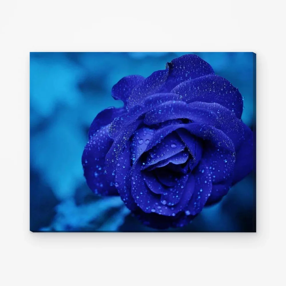 Pintar por Números - Hermosa rosa azul