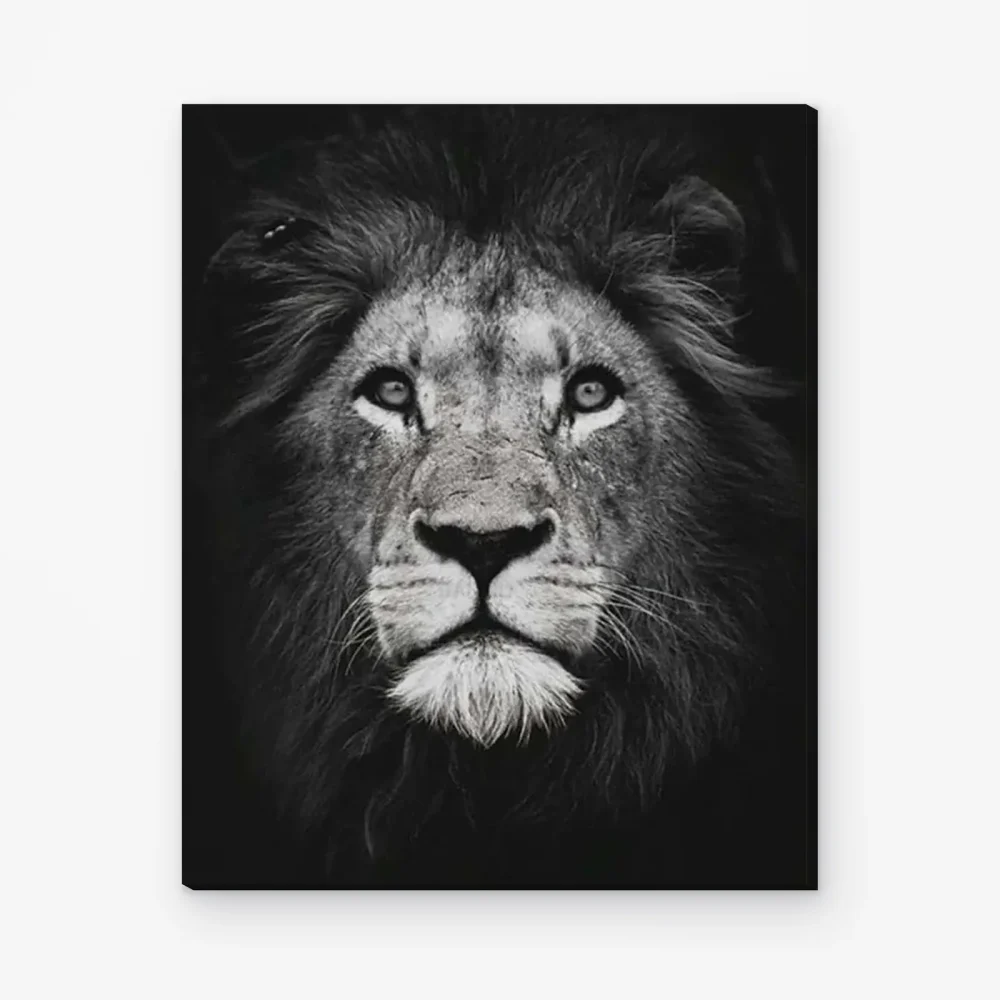 Pintar por Números - León blanco y negro