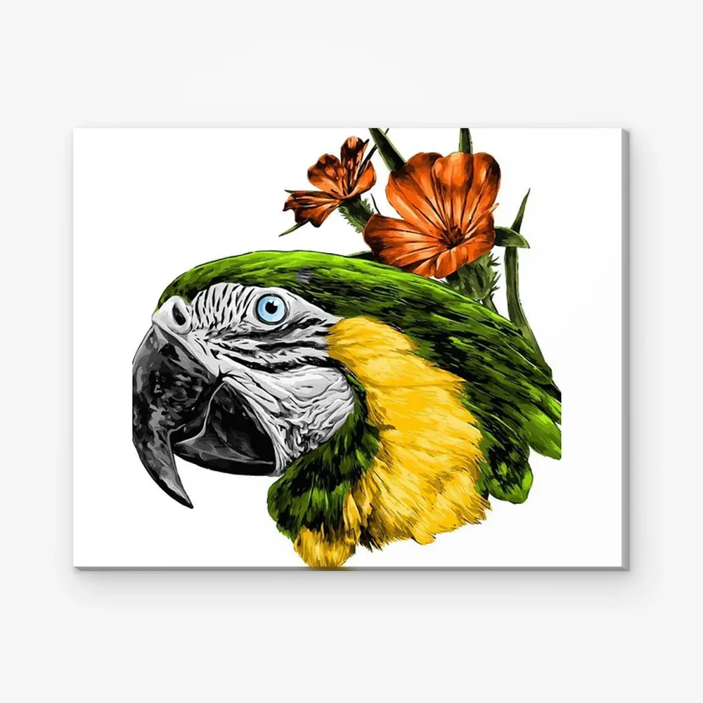 Pintar por Números - Loro Close