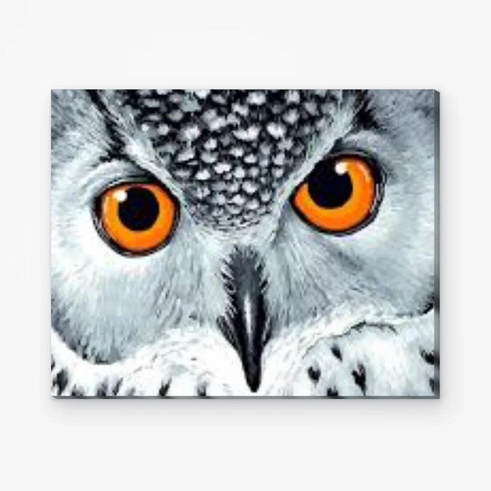 Pintar por Números - Ojos de búho