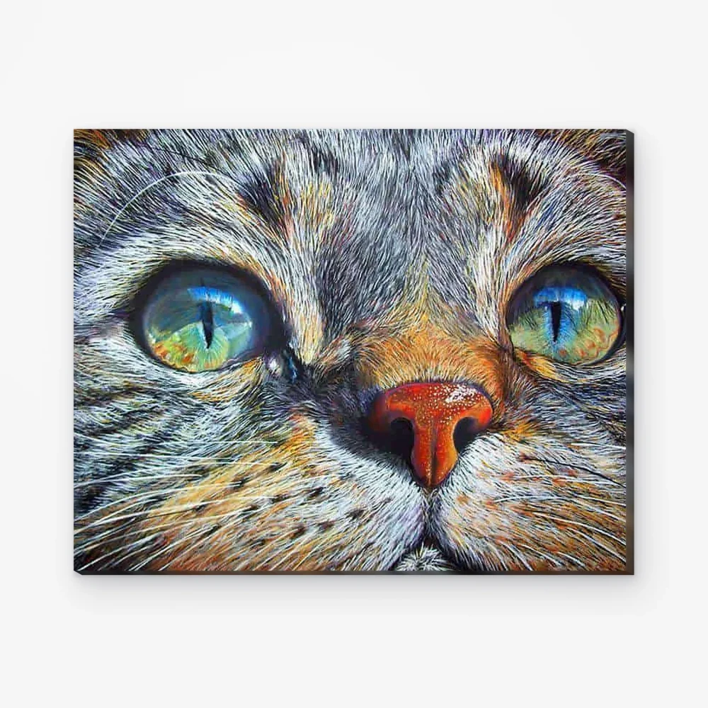 Pintar por Números - Ojos de gato azules