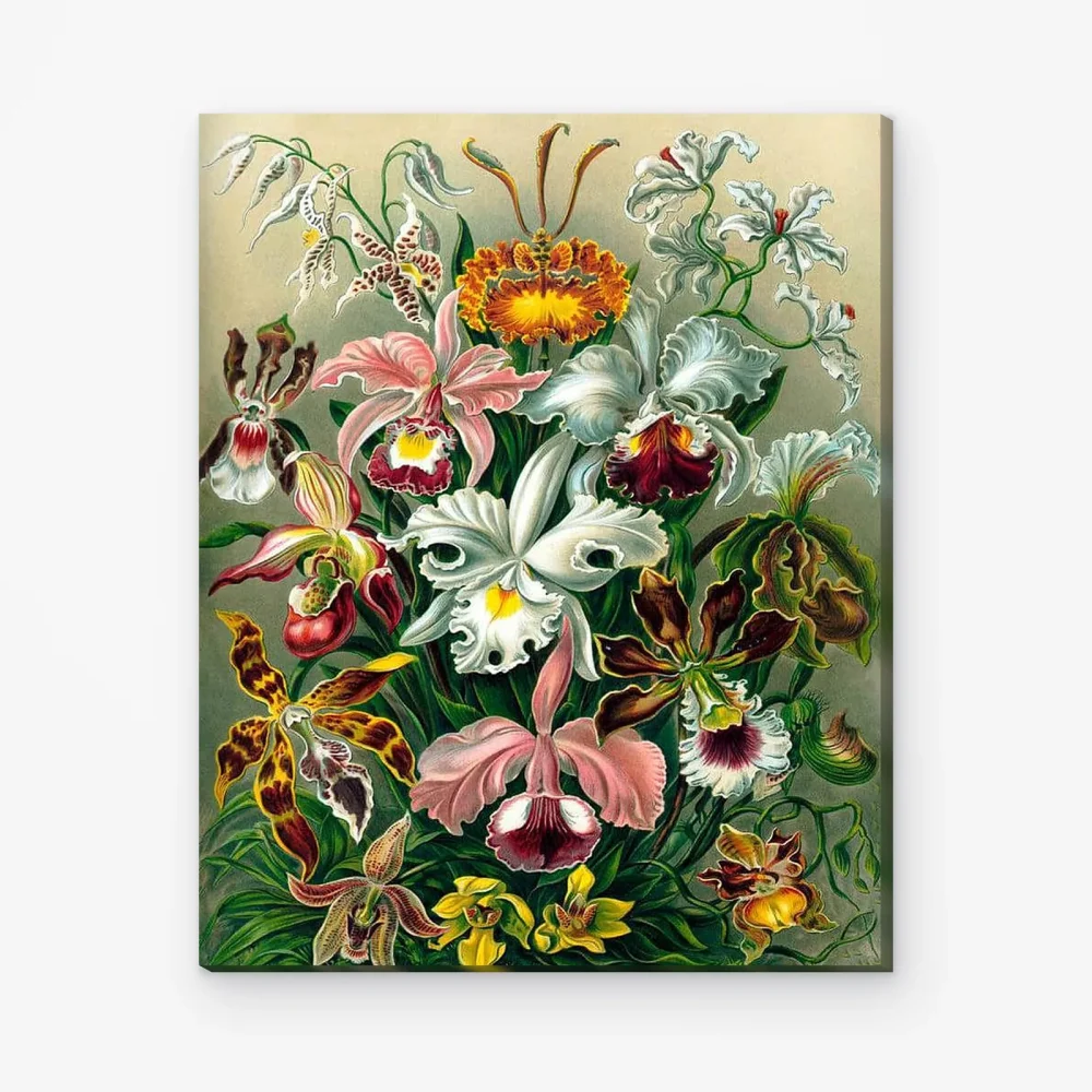 Pintar por Números - Orquídea