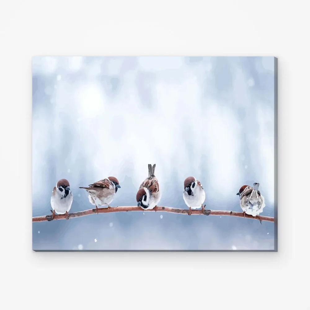 Pintar por Números - Pajaritos