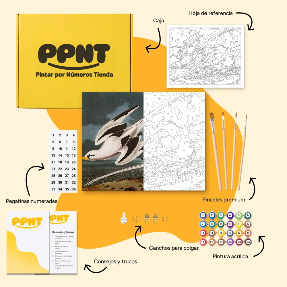 Pintar por Números - Pájaro tropical