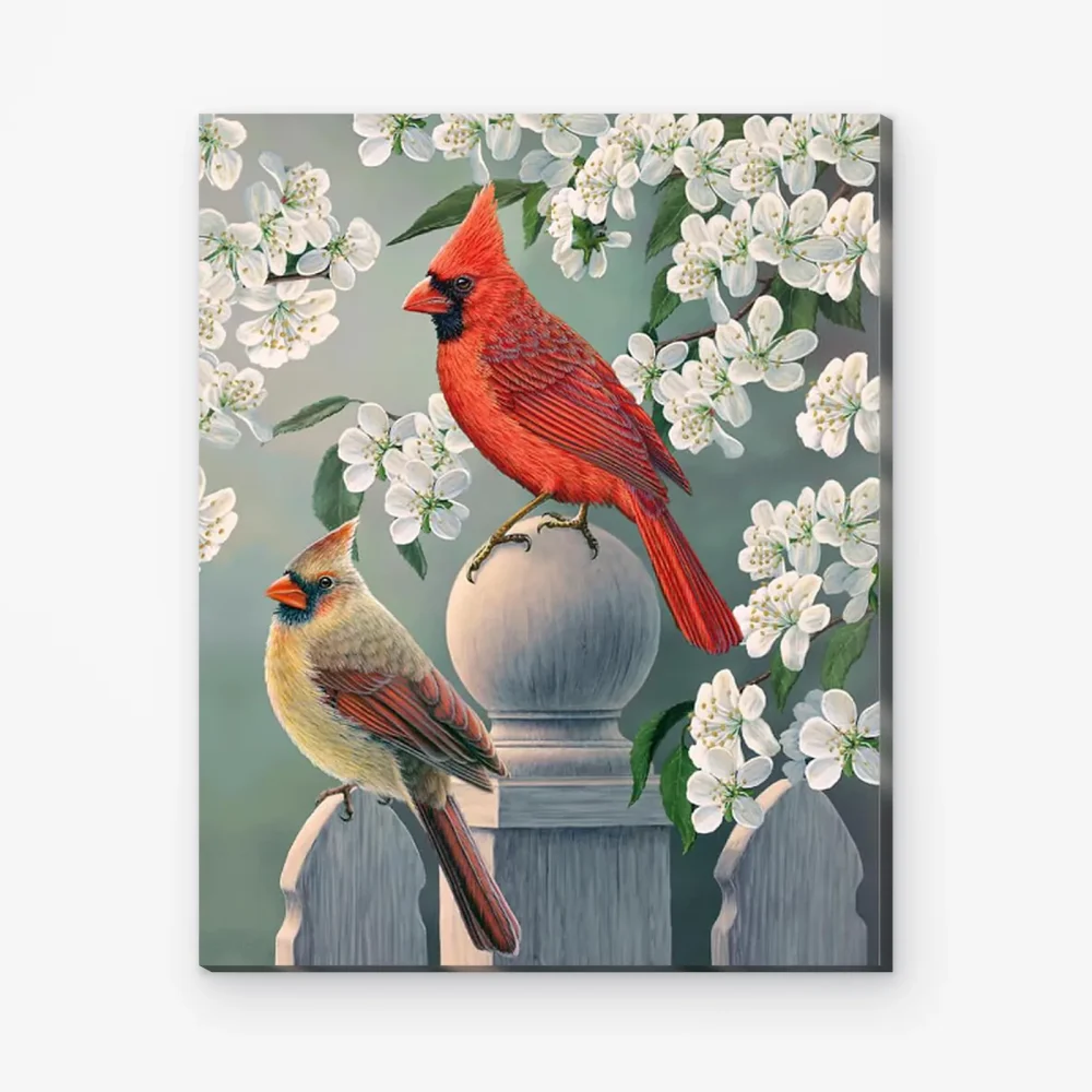 Pintar por Números - Pareja de cardenales
