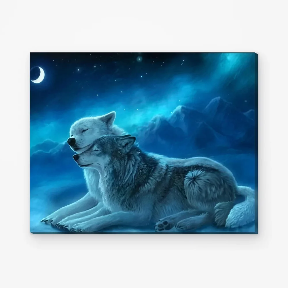 Pintar por Números - Pareja de lobos bajo la aurora