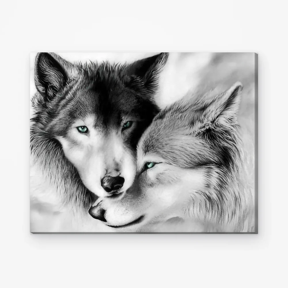 Pintar por Números - Pareja de lobos blancos