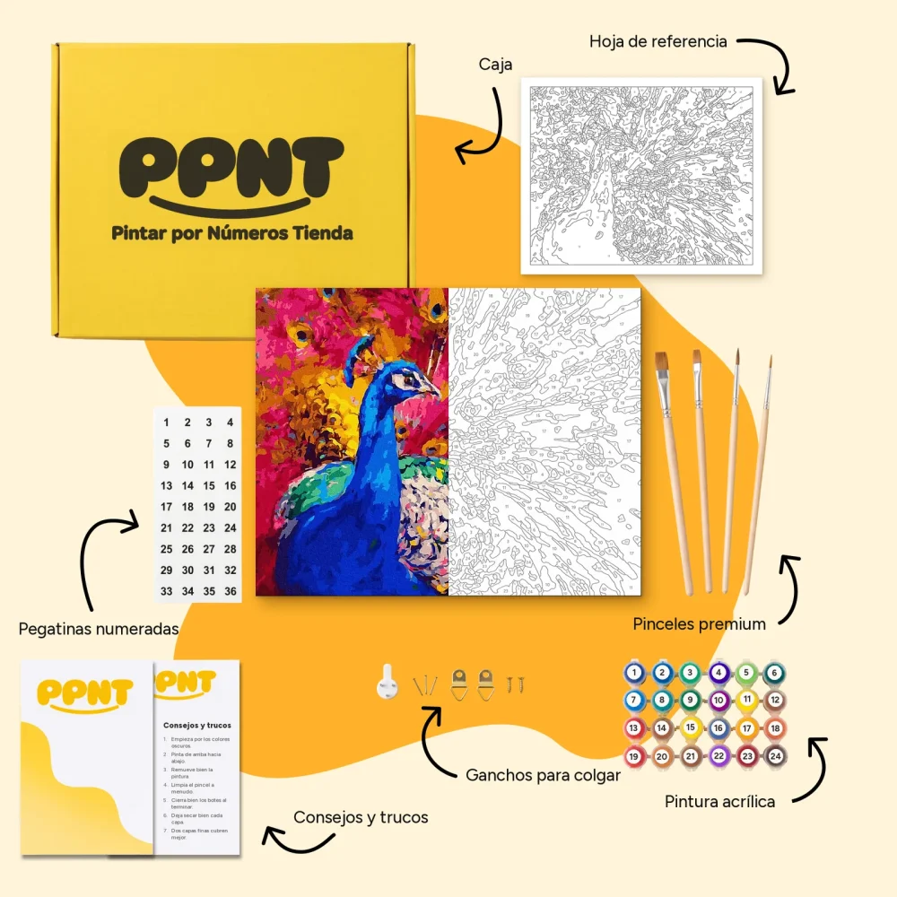 Pintar por Números - Pavo real arco iris