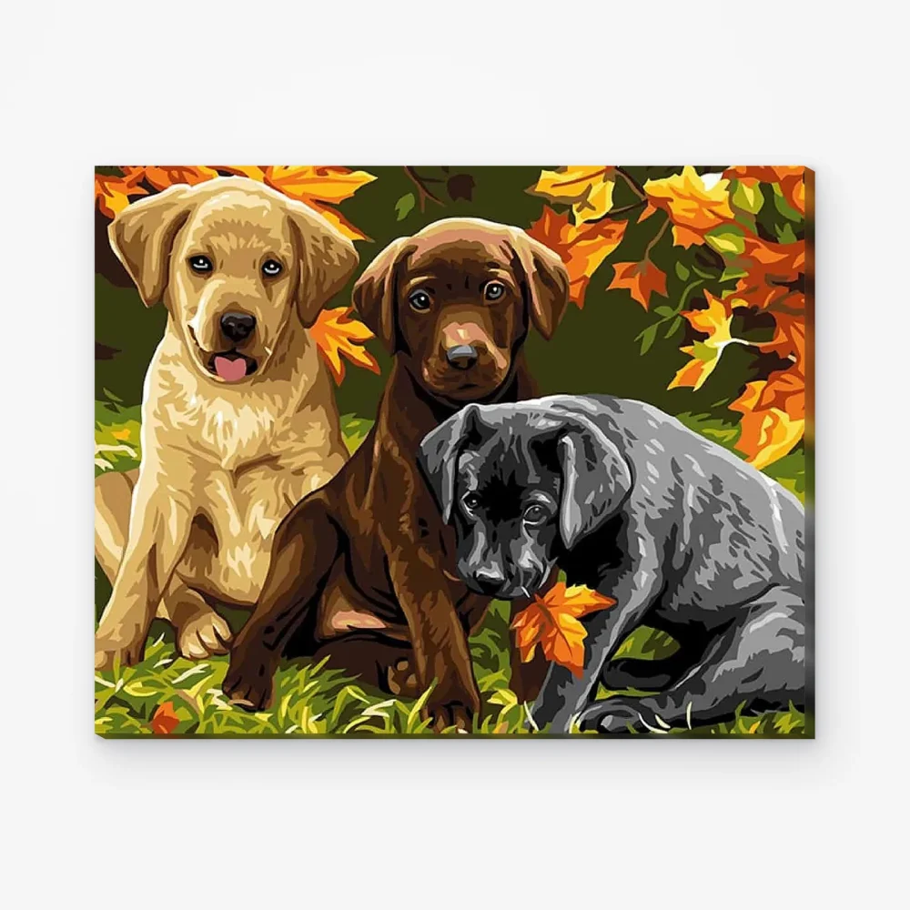 Pintar por Números - Perros bonitos