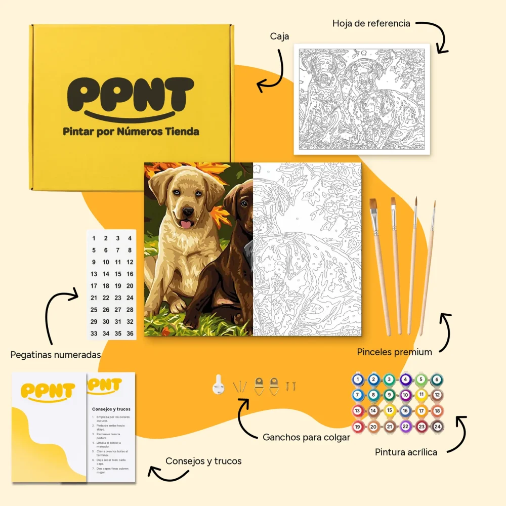 Pintar por Números - Perros bonitos