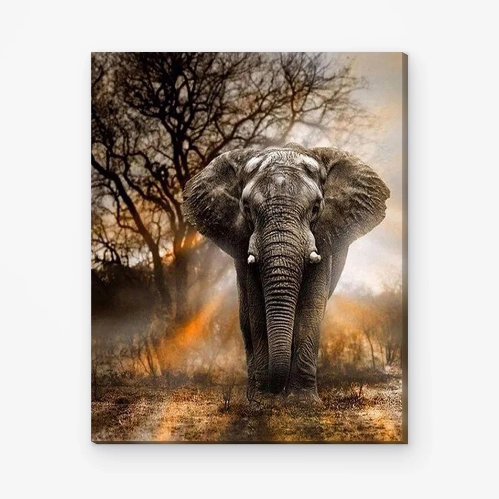 Pintar por Números - Poderoso elefante