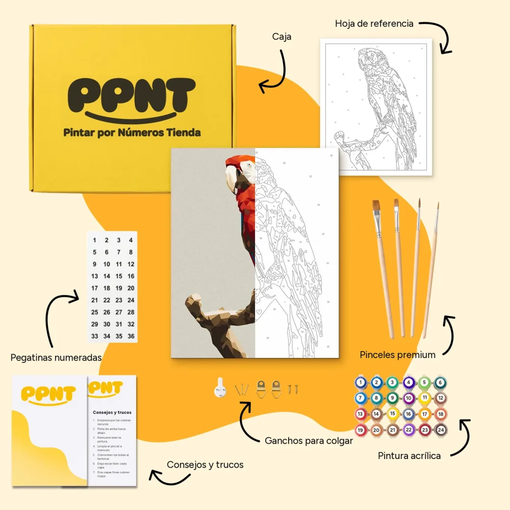 Pintar por Números - Polígono Loro