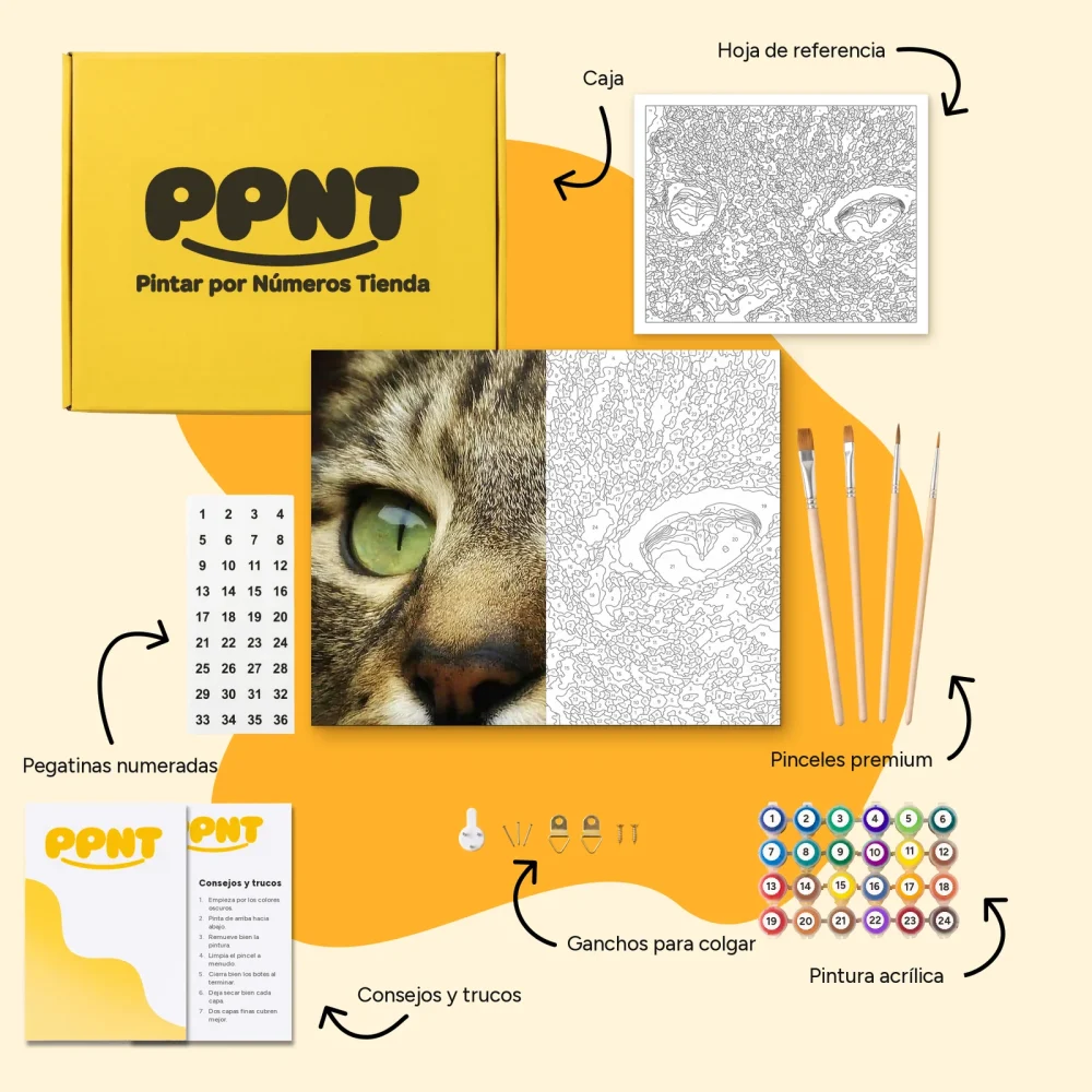 Pintar por Números - Primer plano de un gato