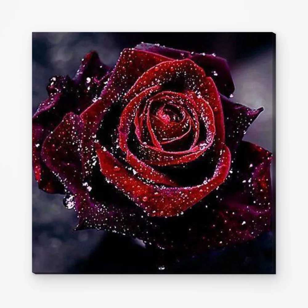 Pintar por Números - Rosa roja