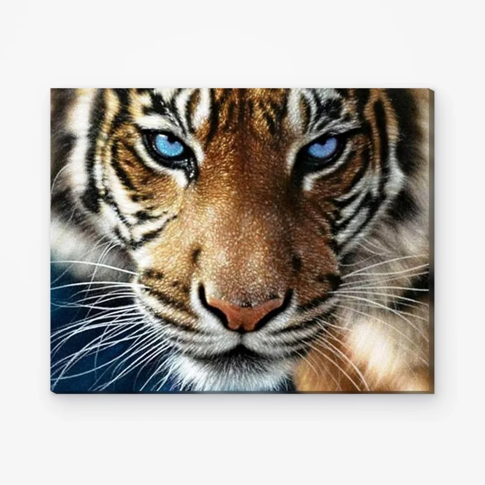 Pintar por Números - Tigre de ojos azules