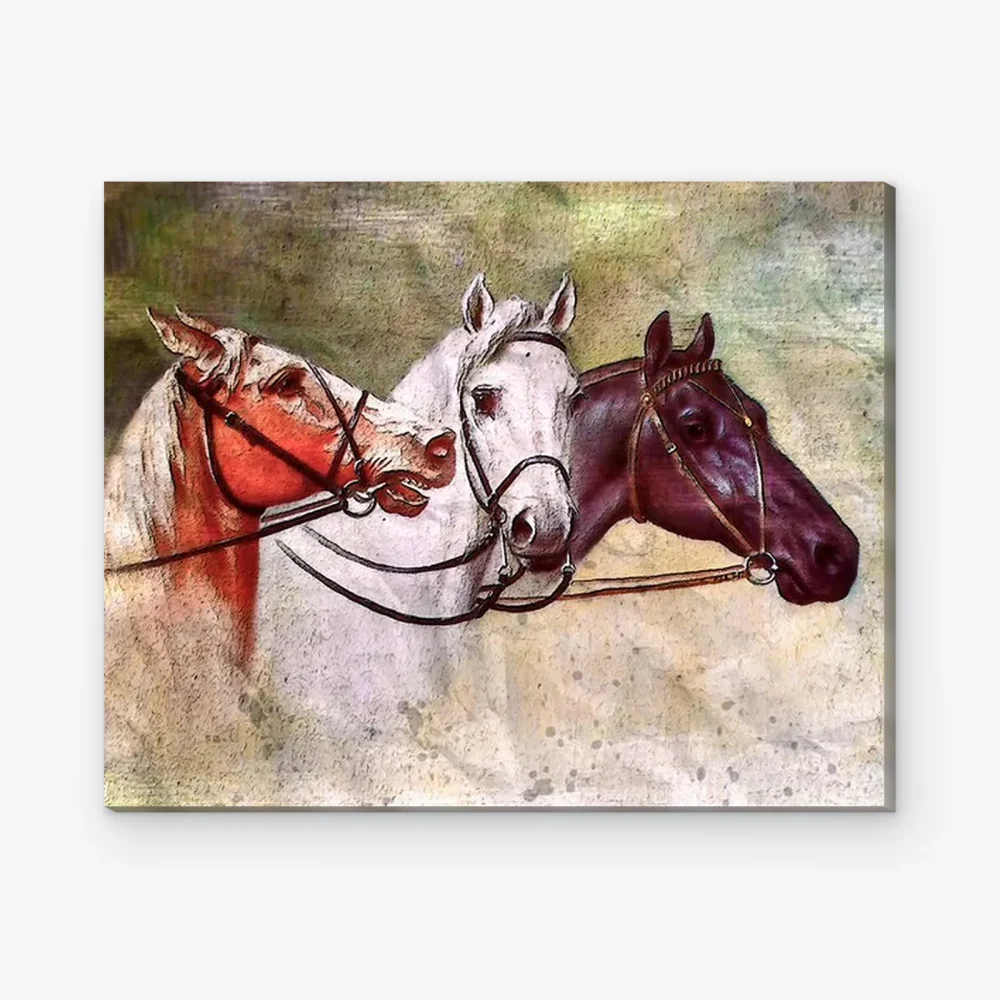 Pintar por Números - Tres caballos