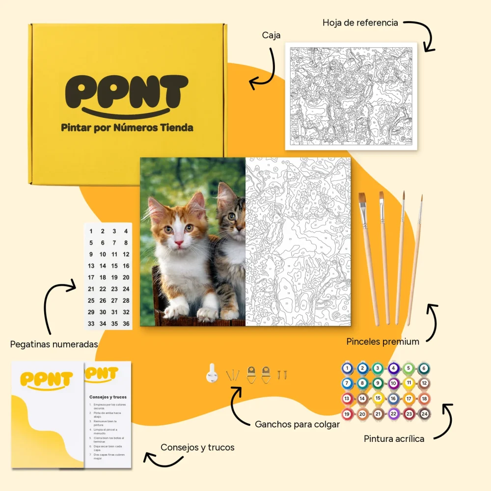 Pintar por Números - Tres gatos