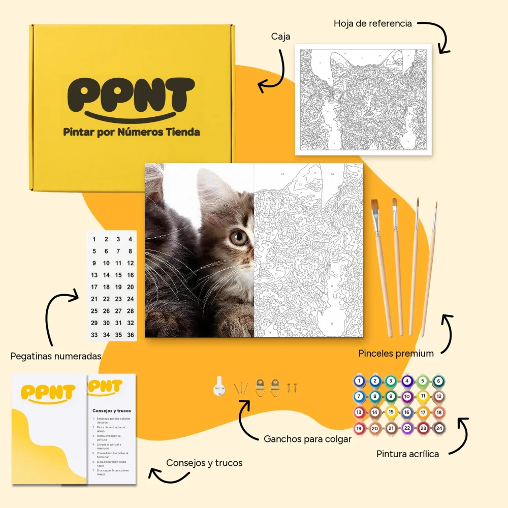 Pintar por Números - Tres gatos seguidos