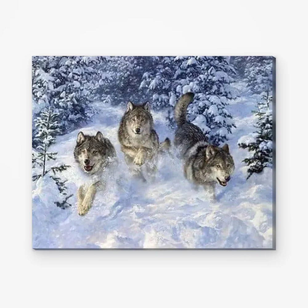 Pintar por Números - Tres lobos en la nieve