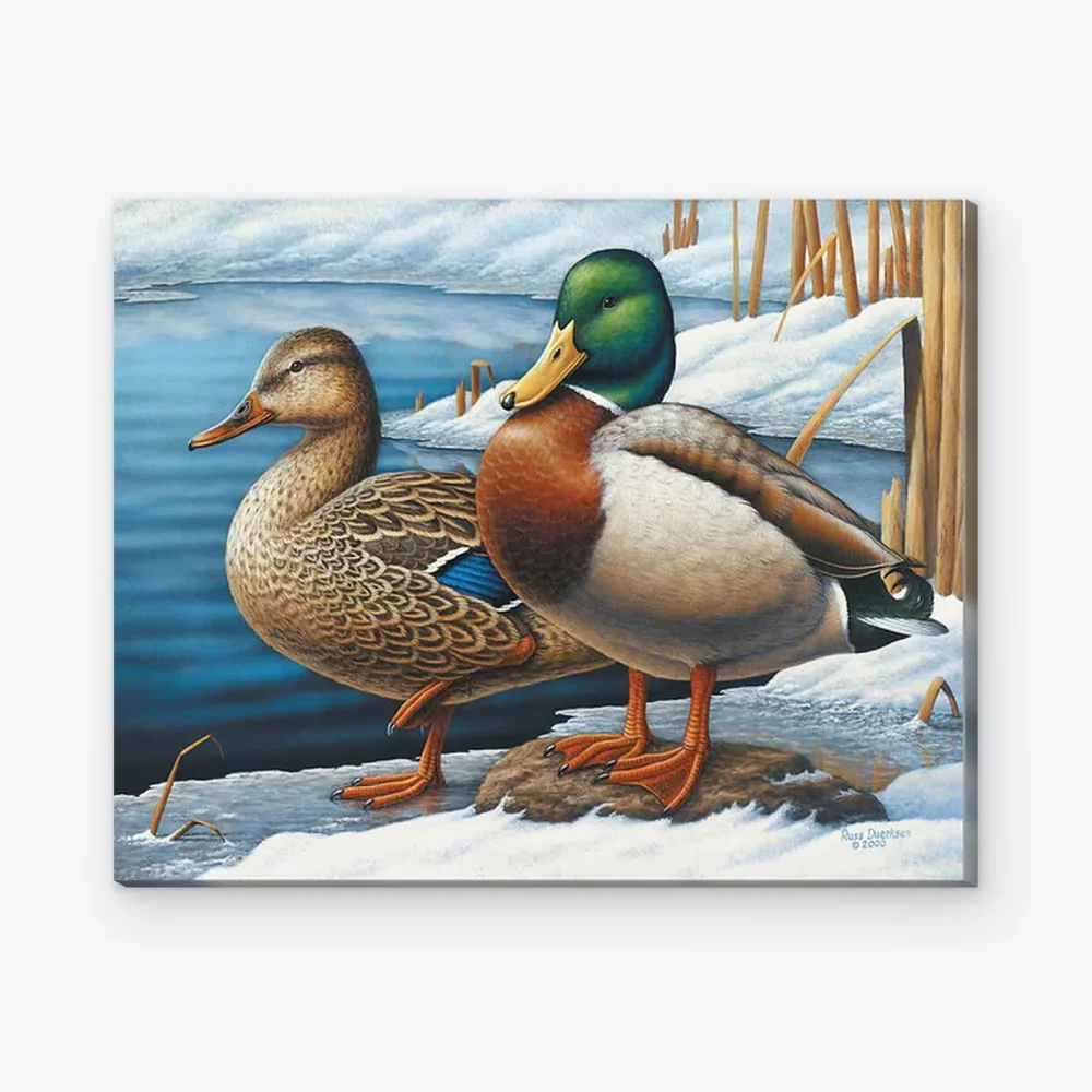 Pintar por Números - Visitantes de invierno