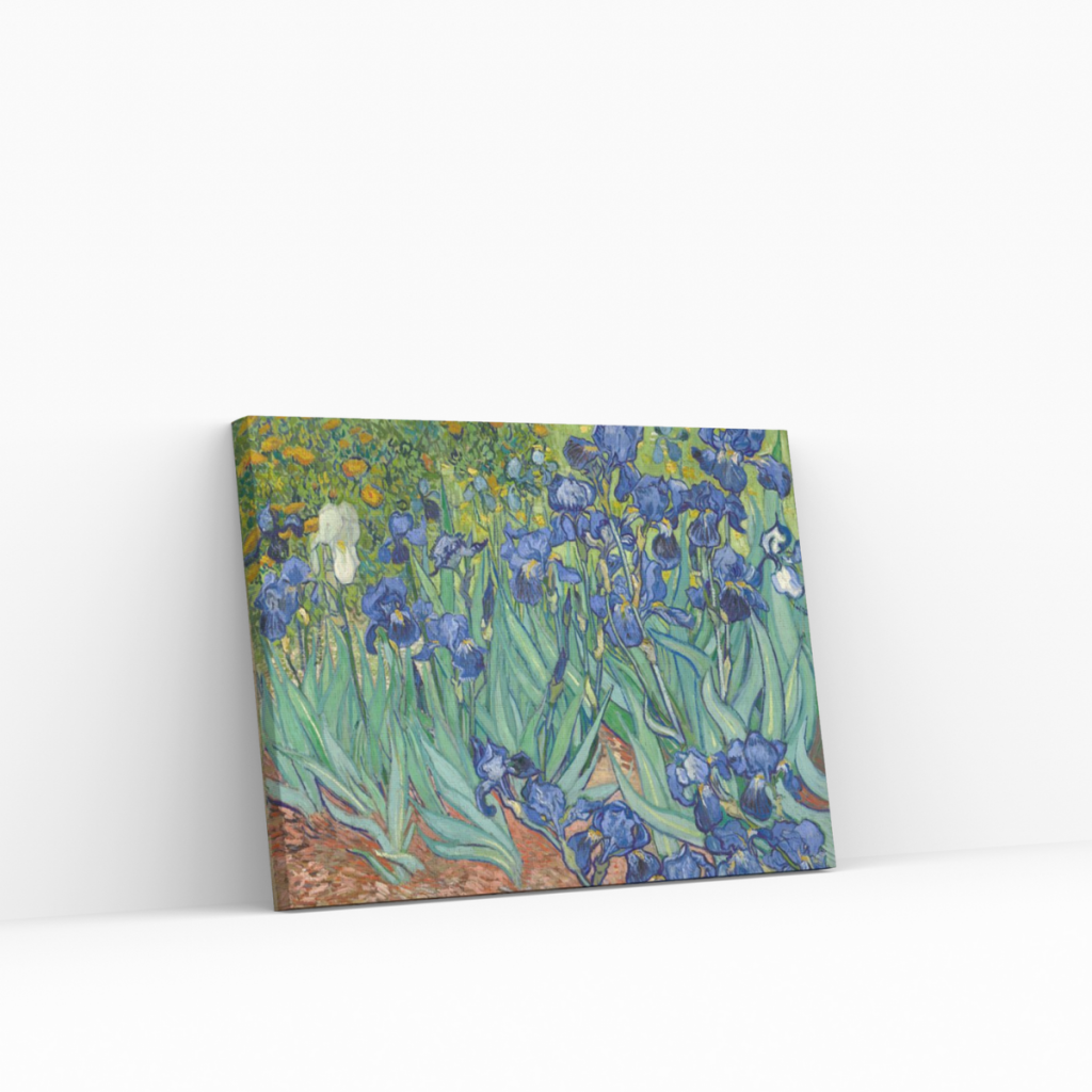 Pintar por Números - Hermosas flores Van Gogh