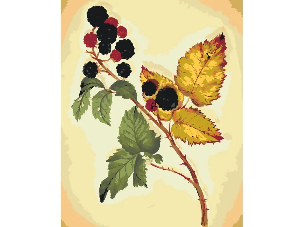 Pintar por Números - Zarzamora vintage