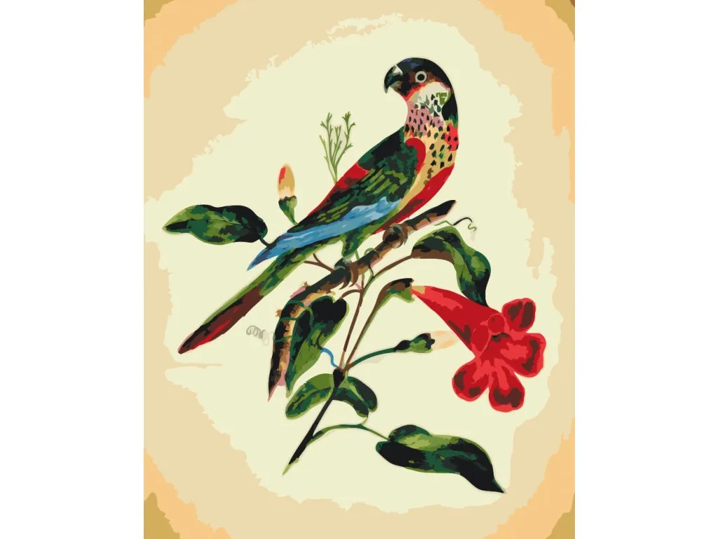 Pintar por Números - Pájaro de época