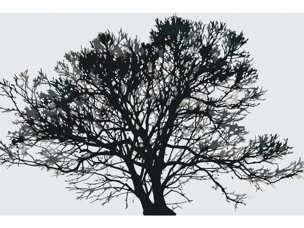Pintar por Números - Árbol en blanco y negro