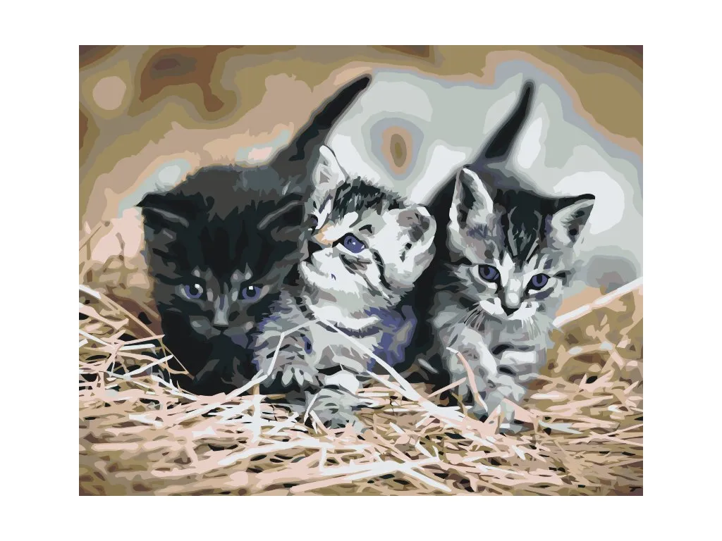 Pintar por Números - Gatitos