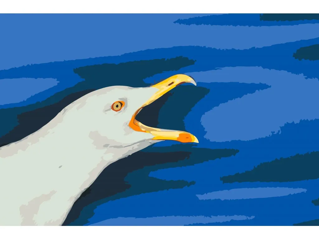 Pintar por Números - Gaviota