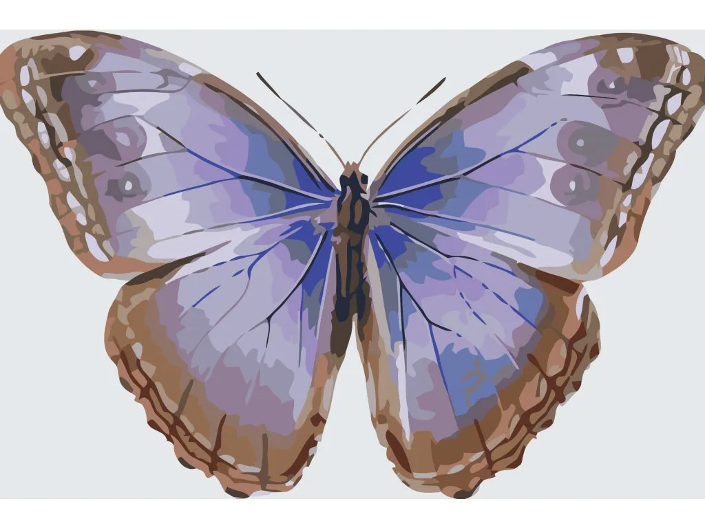 Pintar por Números - Alas de mariposa