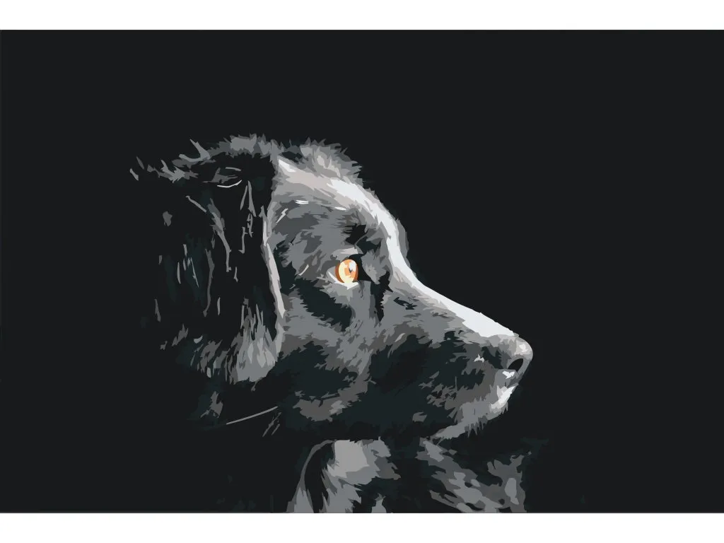 Pintar por Números - El punto de vista del perro