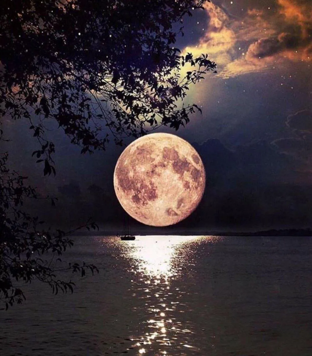 Pintar por Números - Luna llena