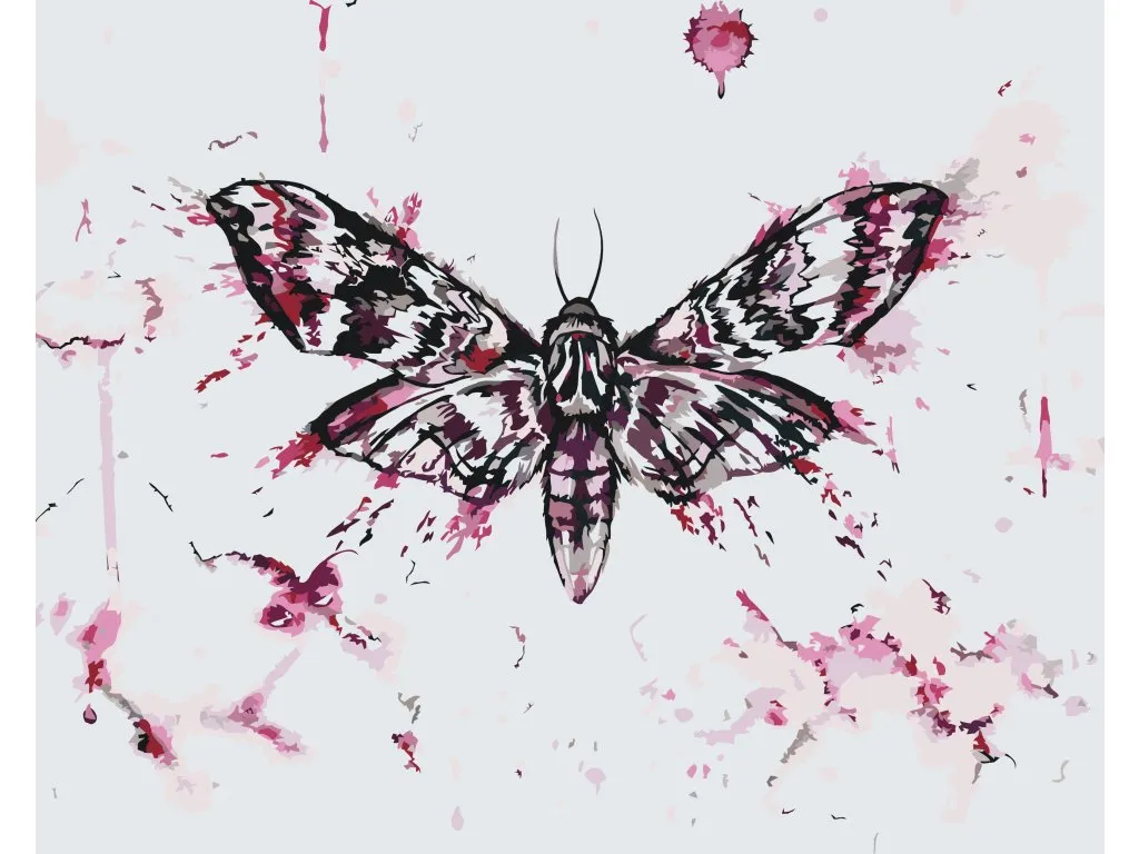 Pintar por Números - Pintar una mariposa