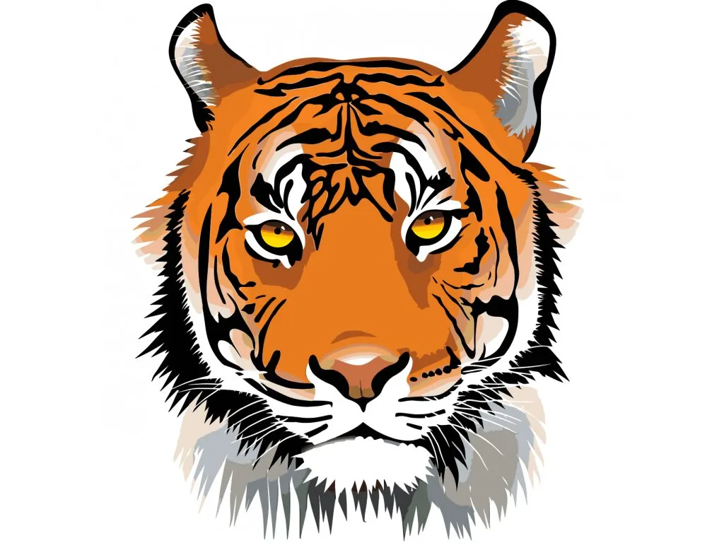 Pintar por Números - Cabeza de tigre