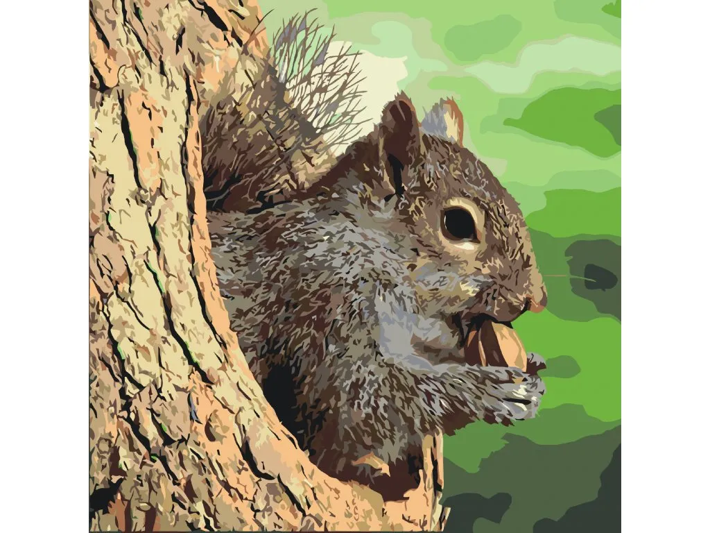 Pintar por Números - Ardilla en el árbol
