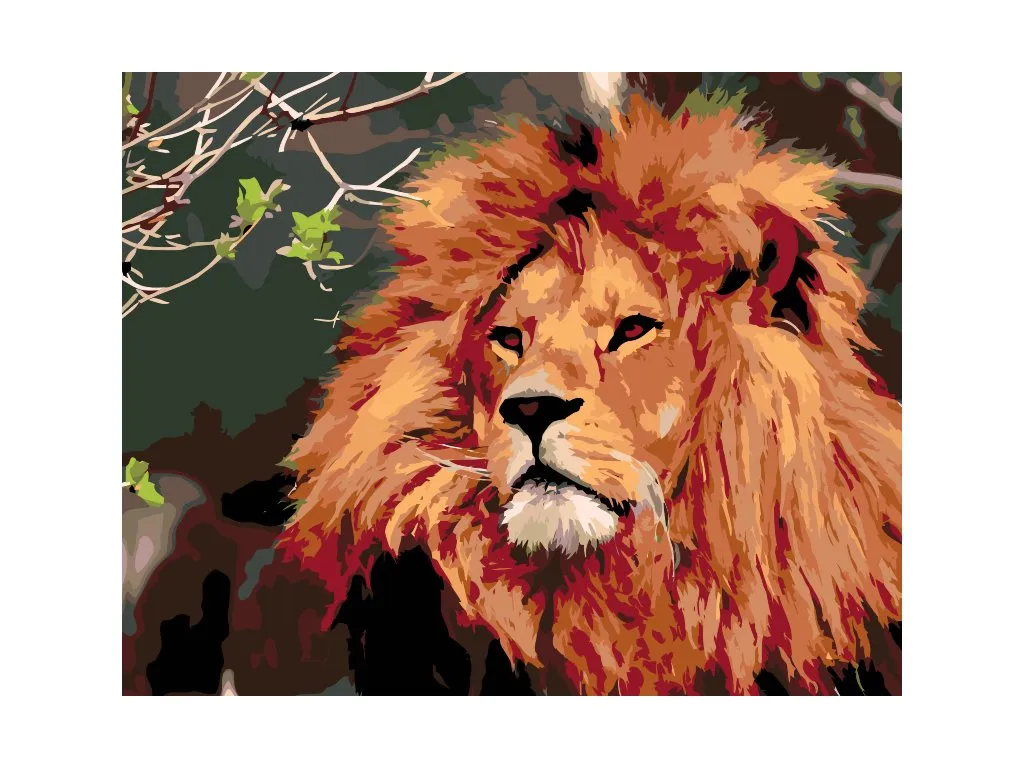Pintar por Números - León