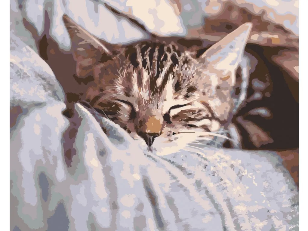 Pintar por Números - Gatito dormido