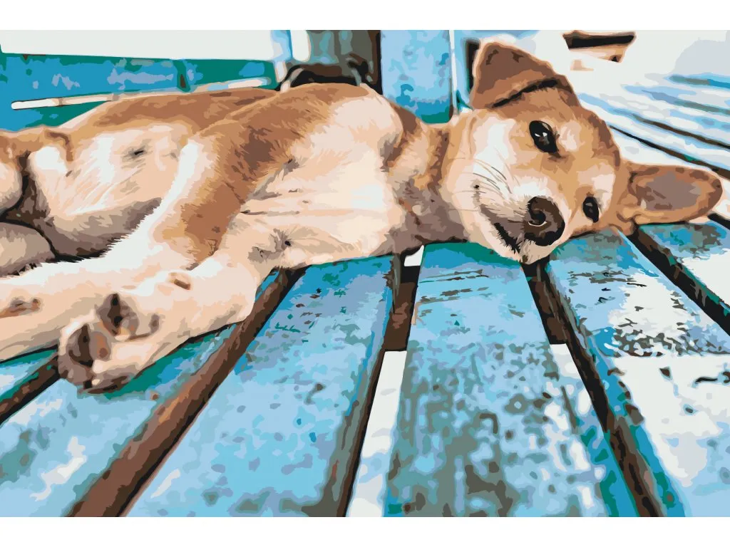 Pintar por Números - Perro perezoso