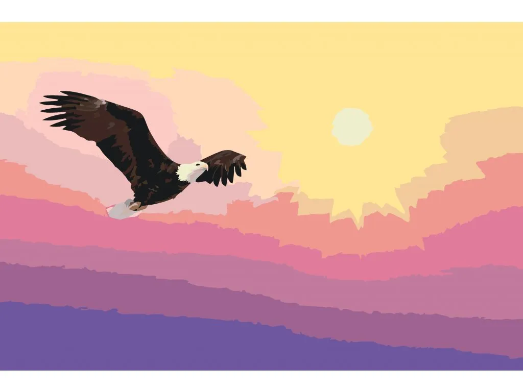 Pintar por Números - Águila al atardecer